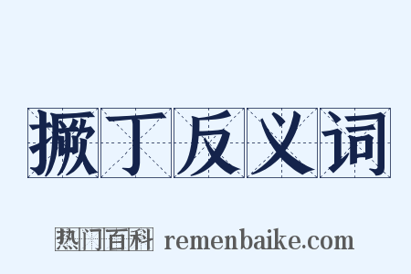 撅丁反义词是什么意思的图片